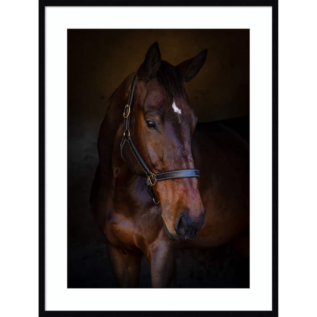 The Horse by Hein Jonker Wood Framed Wall Art Print