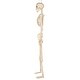 preview thumbnail 5 of 4, 5ft Animated Full Size Halloween Skeleton w Lightup Eyes and Speaker