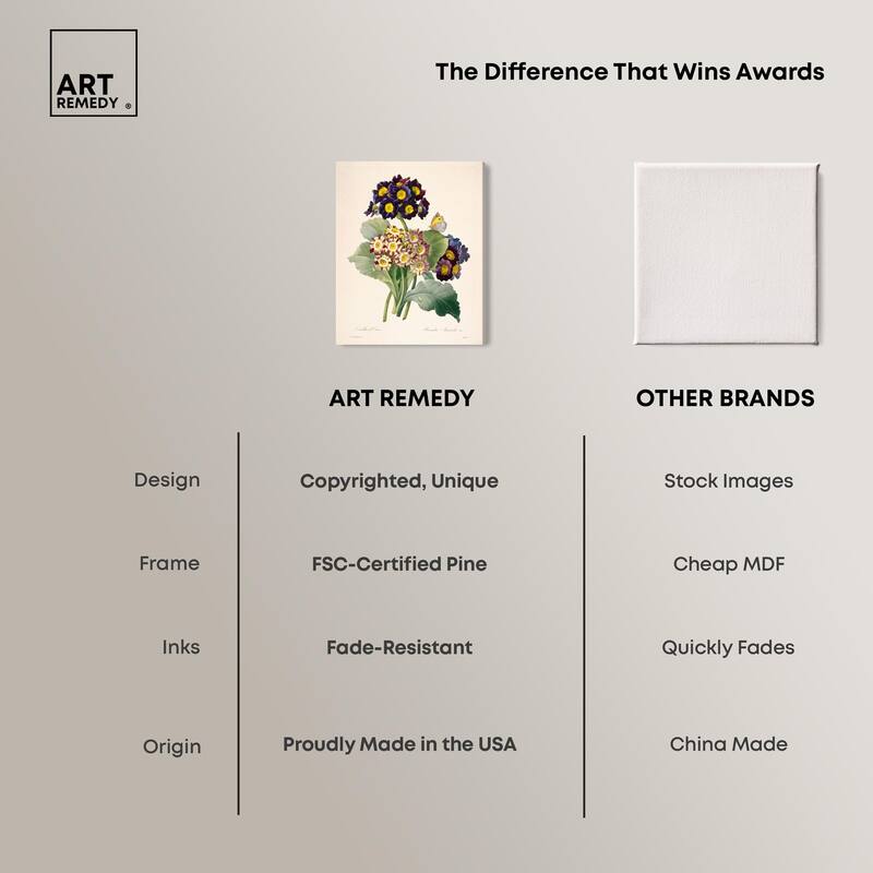 Auricula Varieties Canvas by Art Remedy, Gallery Wrapped