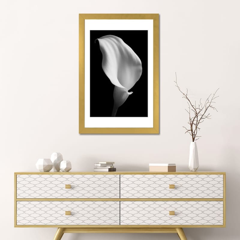 iCanvas "Lily On Black II" by Tom Quartermaine
