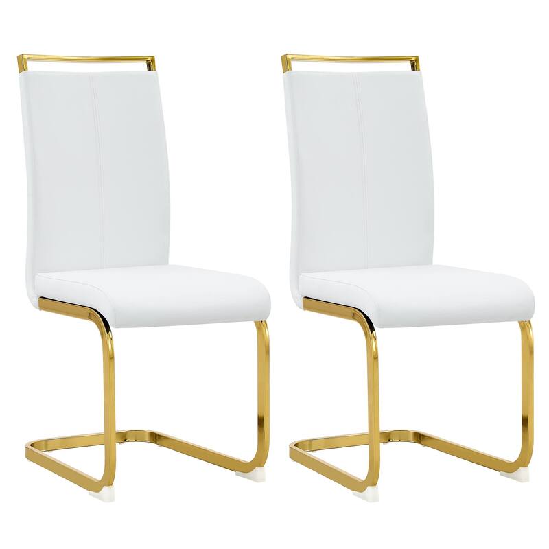 Modern Dining Chairs (Set of 2 )
