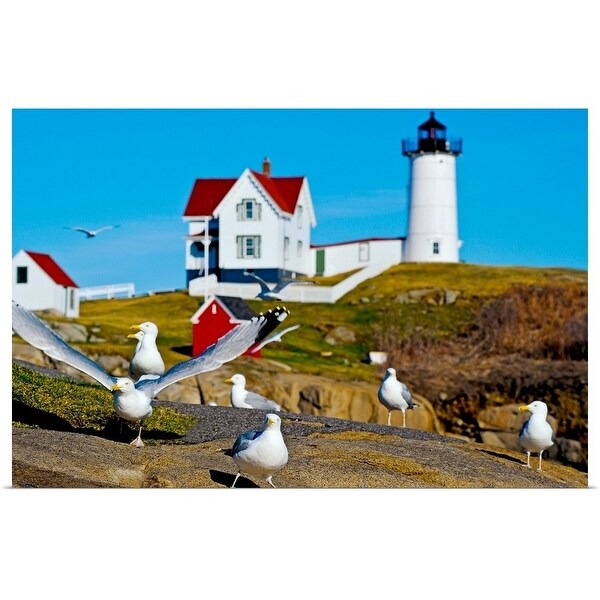 Shop Seagulls At Nubble Lighthouse Cape Neddick York