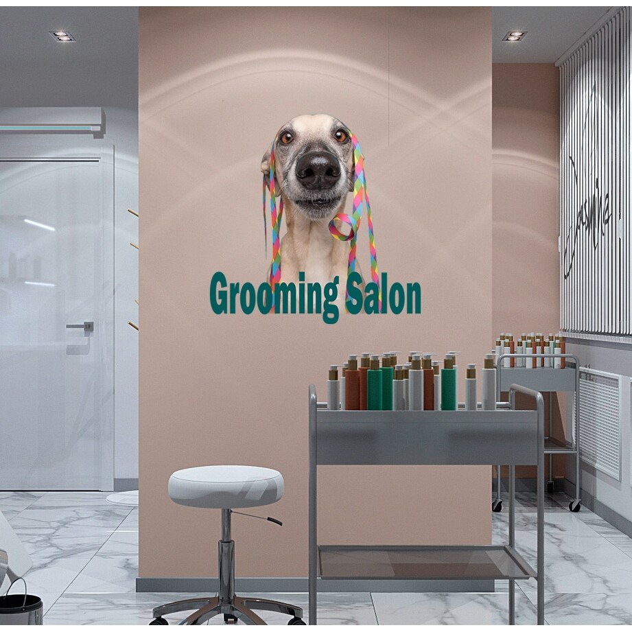 the dog grooming shop