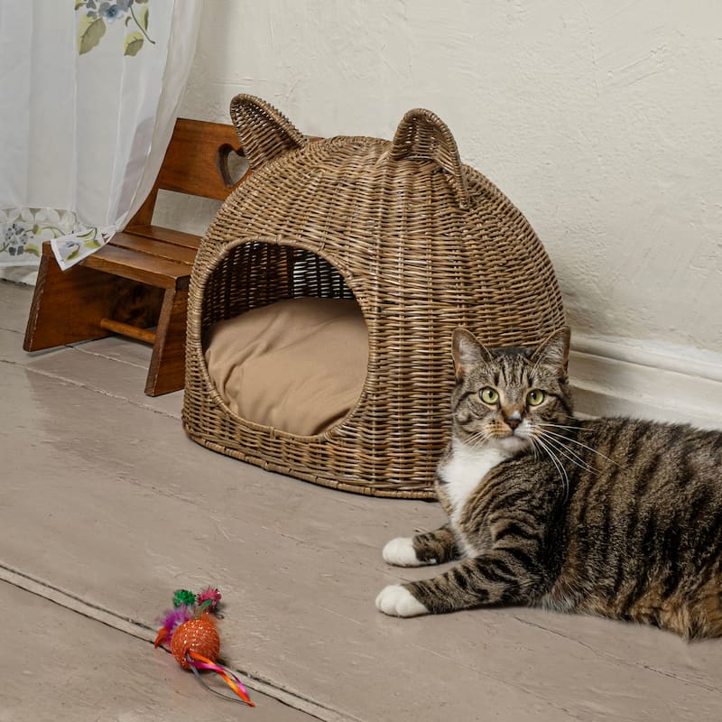 Cat Ear 20" x 14.5" Coastal Handwoven Rattan Cat Bed with Machine-Washable Cushion, Natural
