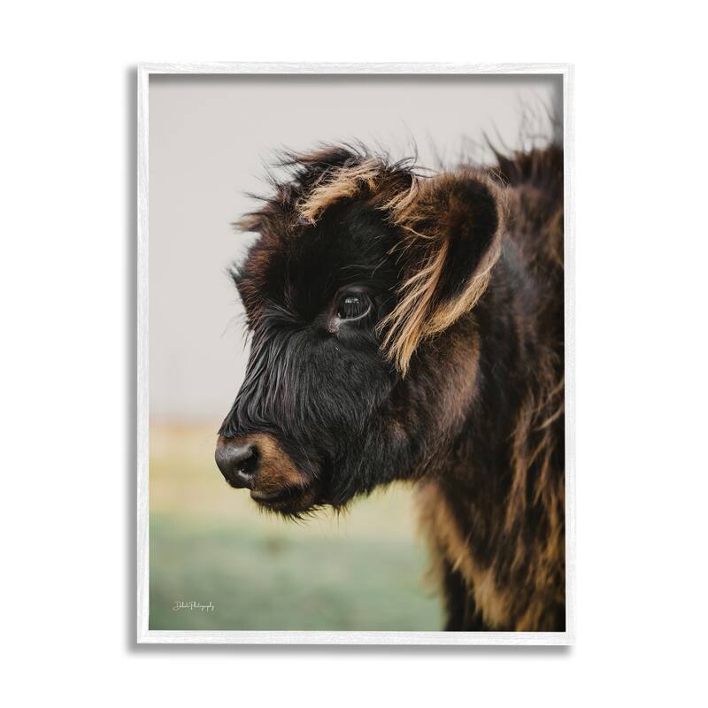 Stupell Baby Cow Photography Framed Giclee Art Design by Dakota Diener - 16 x 20 - White