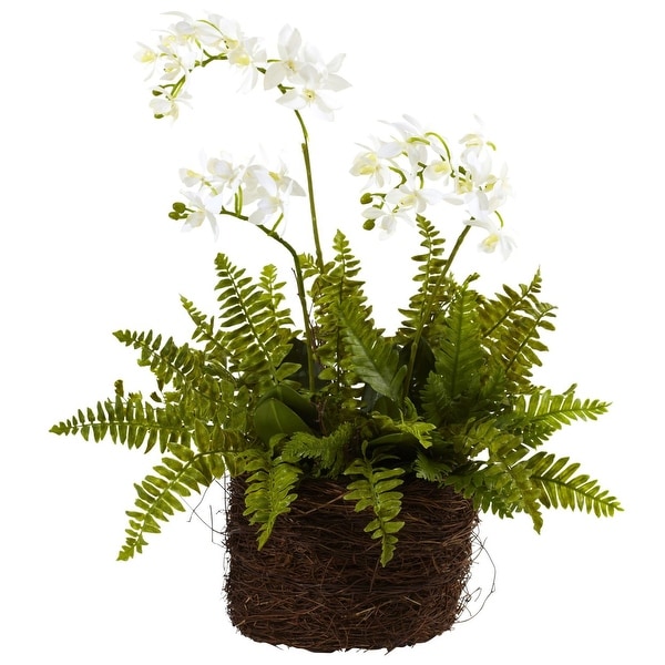 Nearly Natural Mini Phalaenopsis & Fern with Bridsnest Planter