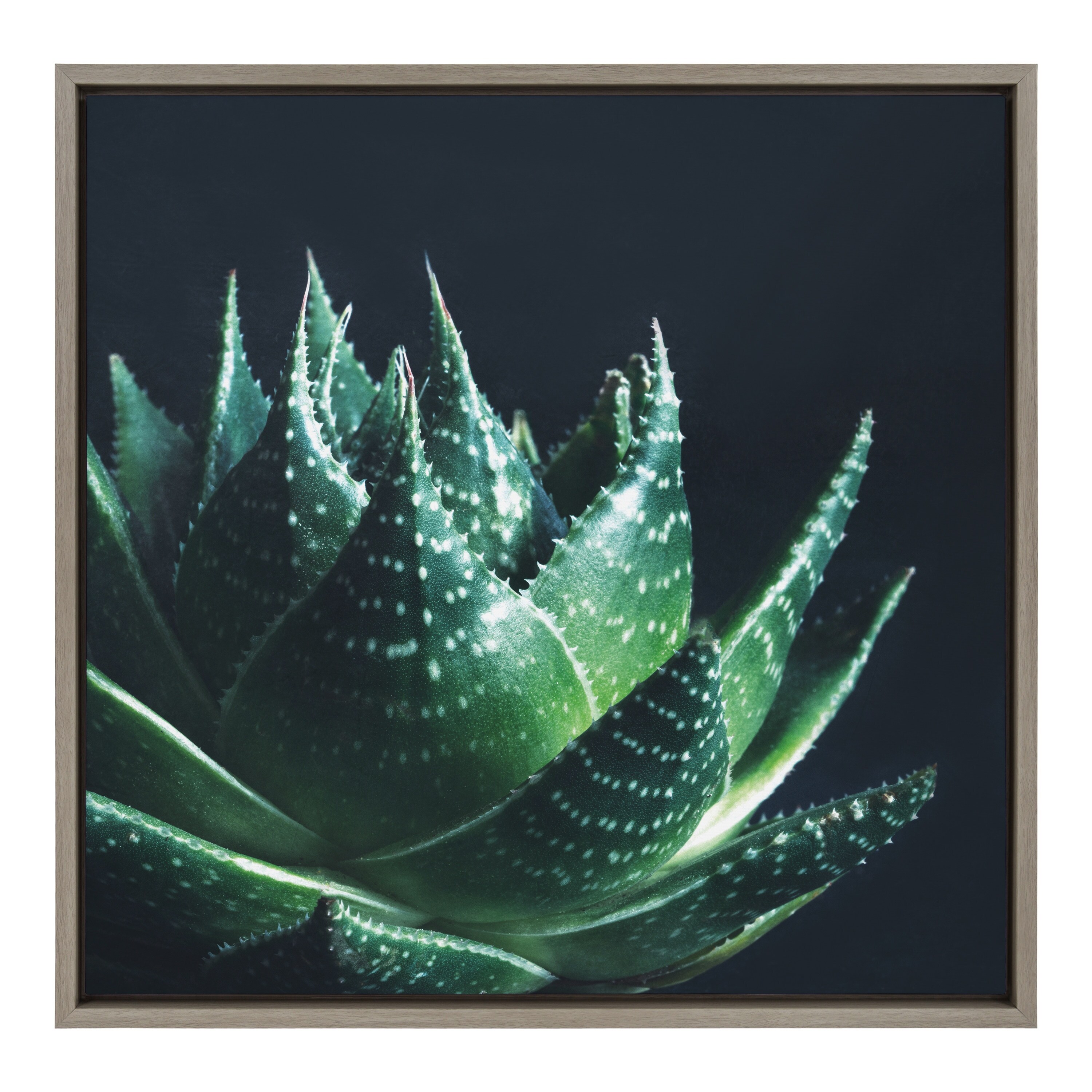Kate and Laurel Sylvie Zen Framed Canvas by F2Images Bed Bath  Beyond  32615557