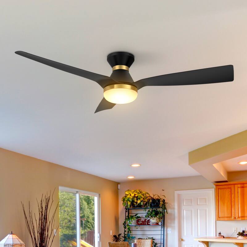 CARRO Pollux 52" Black Smart Ceiling Fan with LED Light and Remote-Flush Mount - N/A - Black/Gold