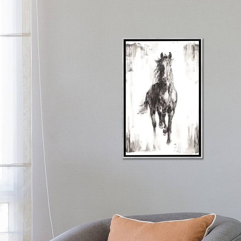 iCanvas "Rustic Black Stallion I" by Ethan Harper Framed