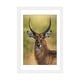preview thumbnail 7 of 18, iCanvas "Mr. Waterbuck" by Patsy Weingart PFA White - 24x16x1