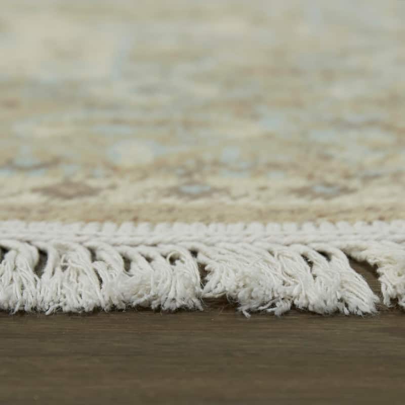 Rosemarie Traditional Recycled Area Rug