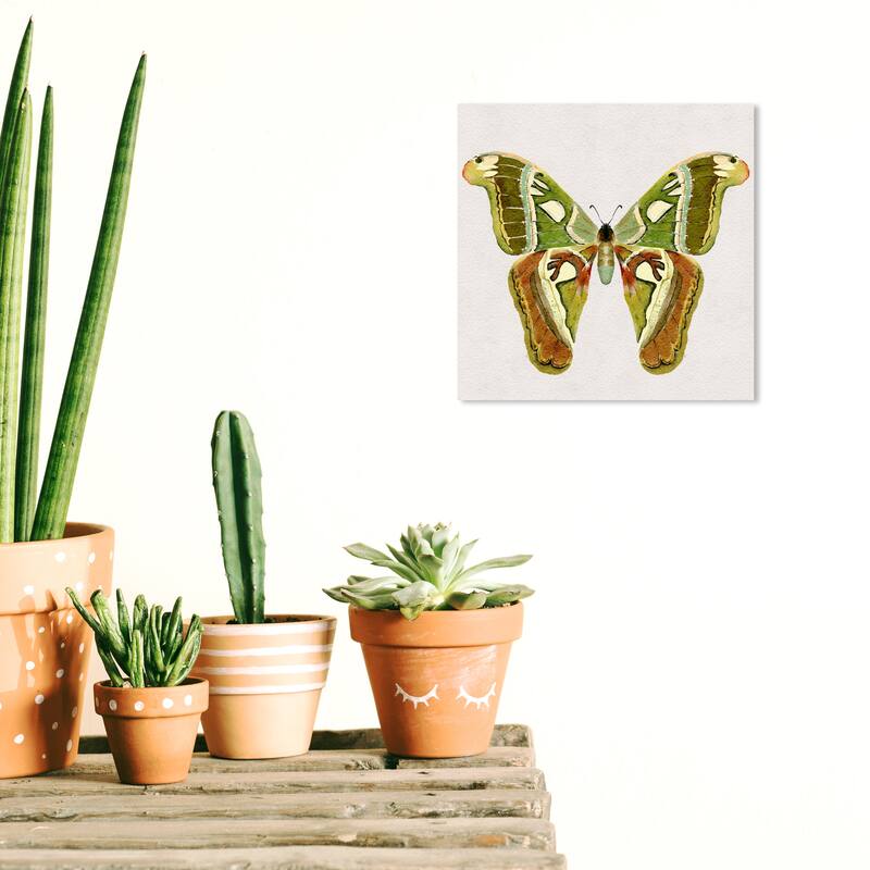 Wynwood Studio Canvas Animals Nature Camo Butterfly Green and Tropical Wall Art Canvas Print - Green, Brown - 12 x 12