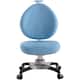 Option Blue