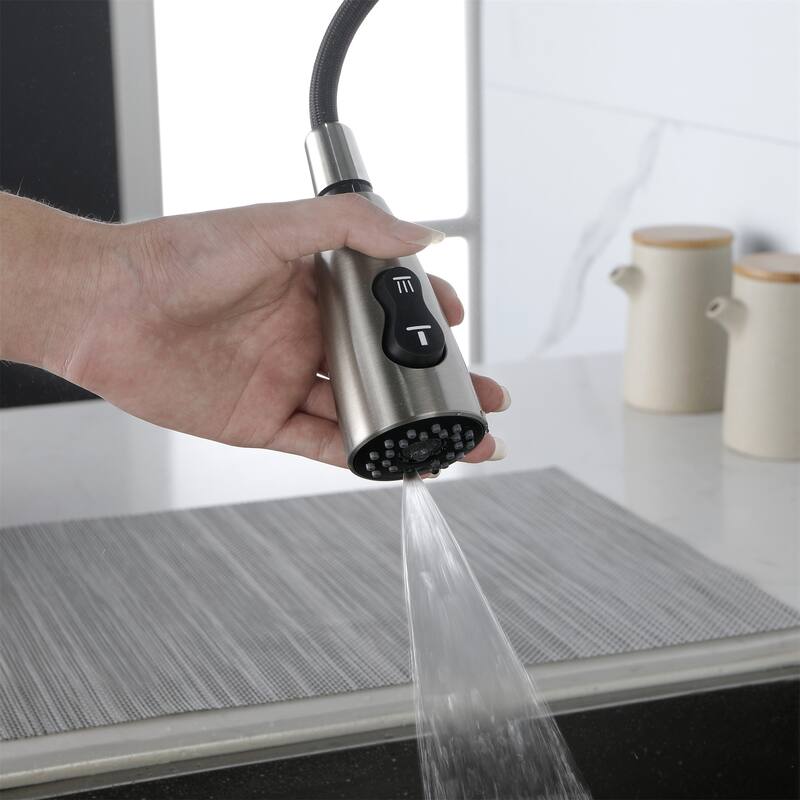 Kitchen Faucet with Pull Down Sprayer Stainless Steel