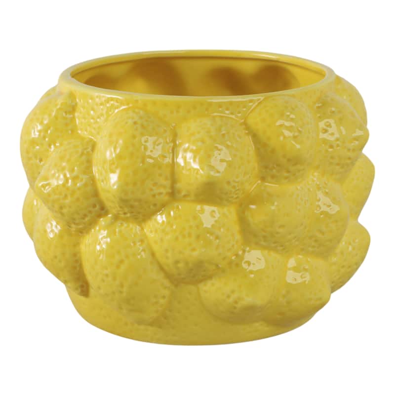 Textured Stoneware Ceramic Planter with Sculpted Bulbous Design