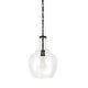 preview thumbnail 33 of 32, Verona 11" Wide Pendant with Glass Shade - 11" Wide