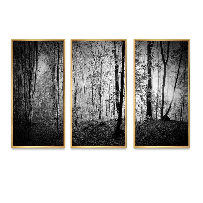Designart "Beautiful Forest Morning Panorama" Landscape Framed Wall
