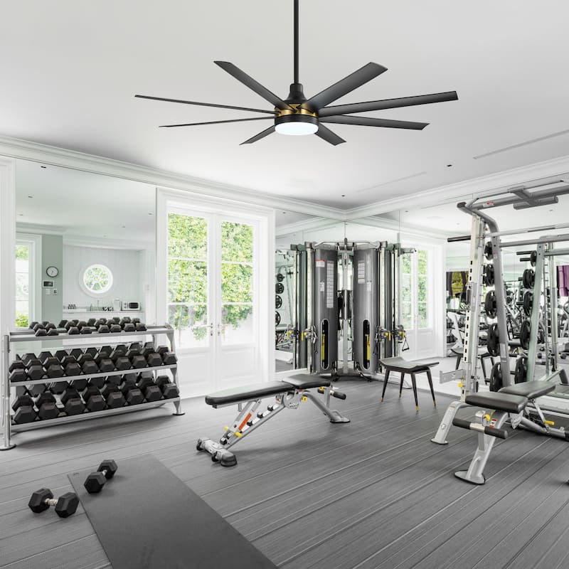 65 Inch Black Large Ceiling Fan with Light Remote(8-Blade)