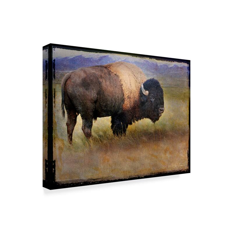 Chris Vest 'Bison Portrait Mountains' Canvas Art