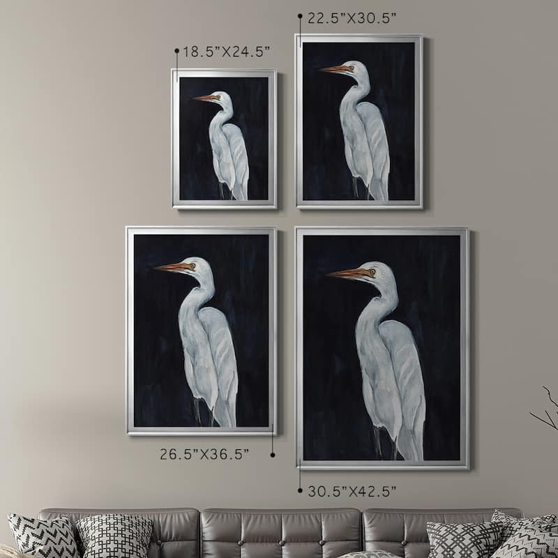 Calm Great Egret I Premium Framed Print - Ready to Hang