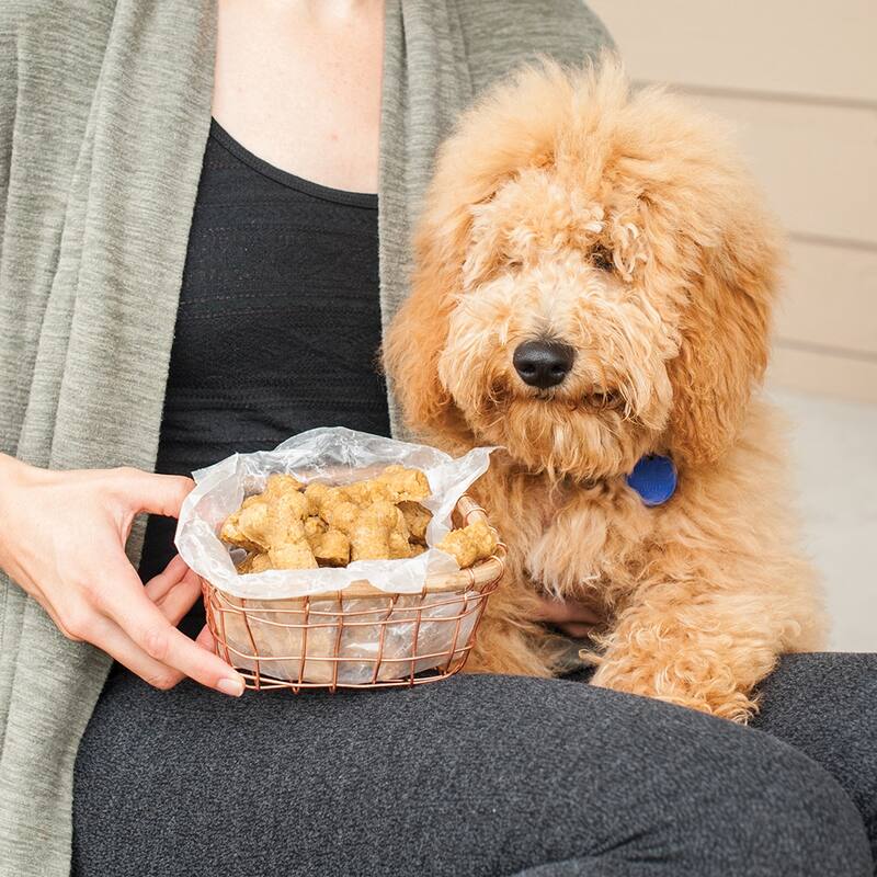 Nordic Ware 2 Piece Puppy Love Treat Pan and Dog Treat Mix - Blue