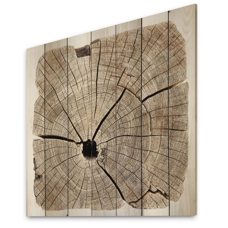 Designart 'Cross Section Of Tree Trunk II' Traditional Wood Wall Art ...