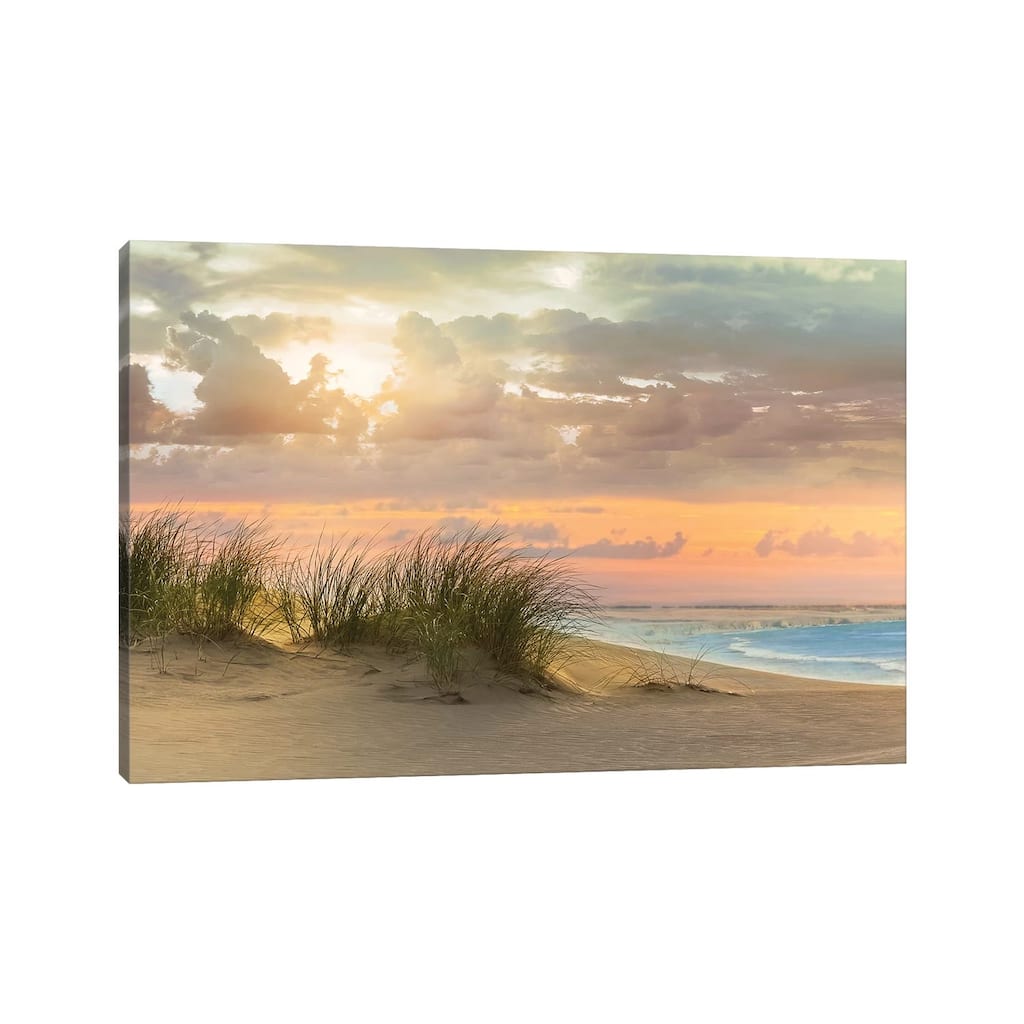iCanvas "Seagrass and Twilight" by Mike Calascibetta Canvas Print