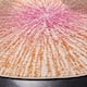 SAFAVIEH Evoke Juli Abstract Boho Burst Rug