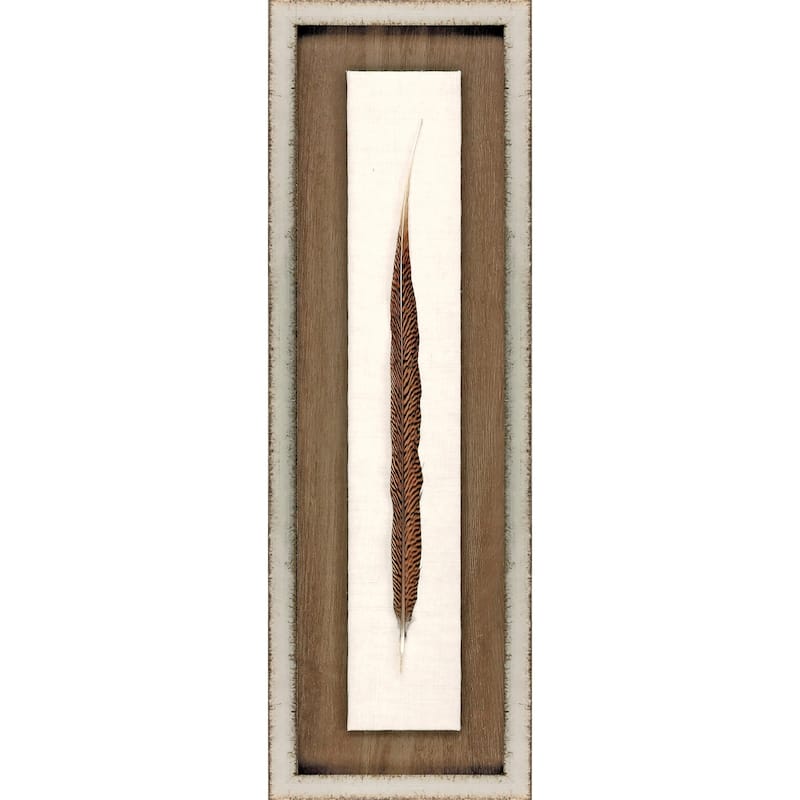 Pheasant Feather Framed Art Mixed Media Shadow Box Under Glass - Brown - 30 X 10 X 2