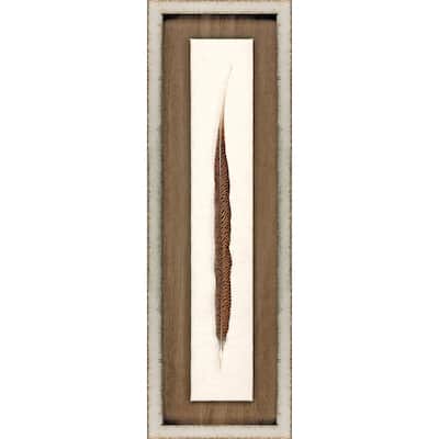 Pheasant Feather Framed Art Mixed Media Shadow Box Under Glass - Brown
