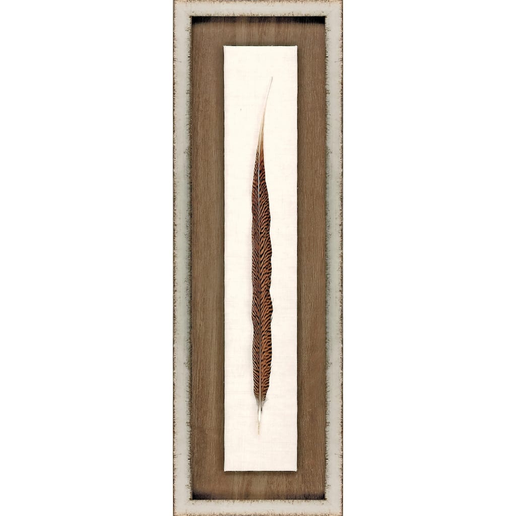 Pheasant Feather Framed Art Mixed Media Shadow Box Under Glass - Brown