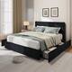 Option Black
