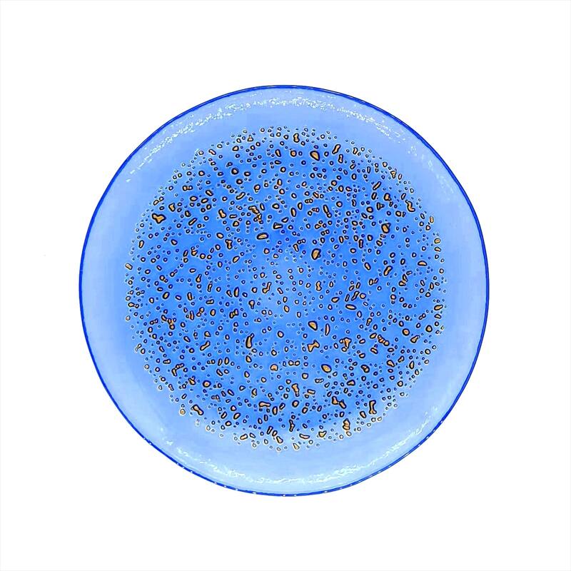 ISLA Salad Plates Set of 4 - 8.5"