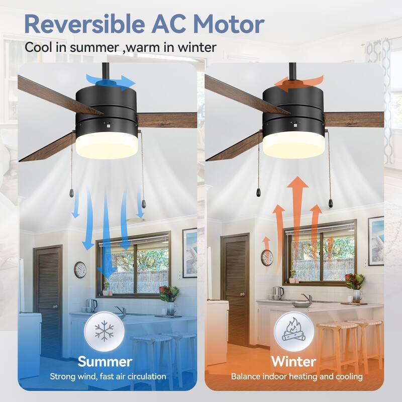 52" Traditonal Ceiling Fan with Light and Pull Chain (3 Reversible Blades)