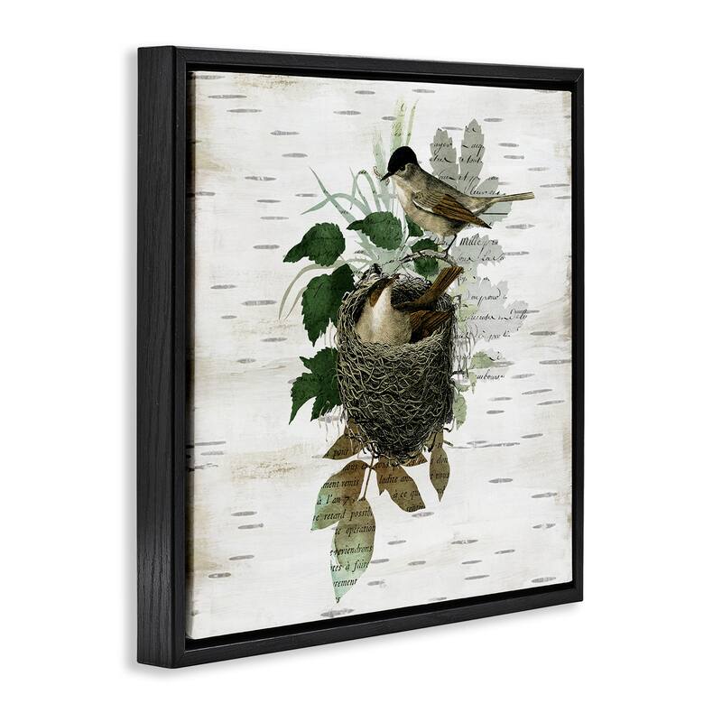 Stupell Birds in Vintage Nest Framed Floater Canvas Wall Art Design By Susan Arnot