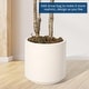 preview thumbnail 6 of 17, 6 FT Artificial Eucalyptus Tree with Round Leaves,Realistic Fake Indoor Outdoor Plant in White Pot