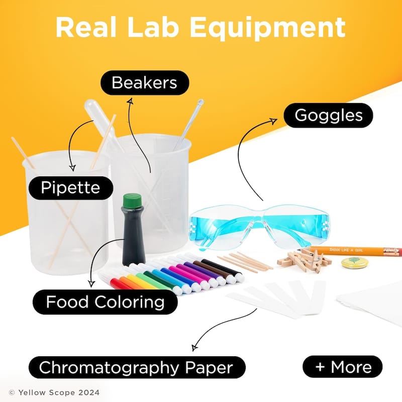 Infinite Curiosity The Art and Science of Color Paper Chromatography Science Kit STEM Activities