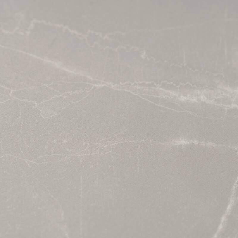 Regalia 24x48 in. Matte Porcelain Marble-look Vein Large Wall and Floor Tile (15.5 sq ft/case, 2-Pack)