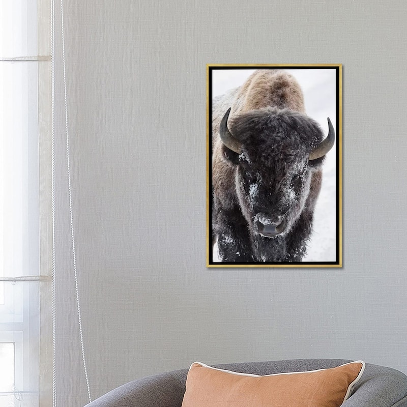 iCanvas "Bison, Yellowstone National Park" by Ken Archer Framed Canvas Print