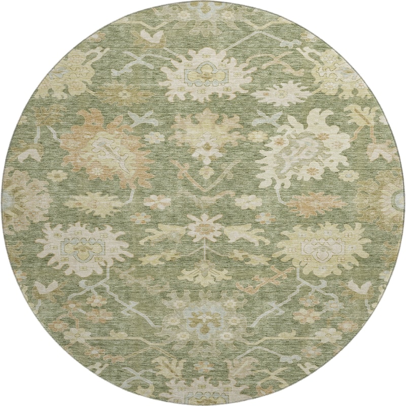 Premium Washable Super Soft Traditional Persian Mayfield Rug