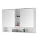 Option Matt White Paint