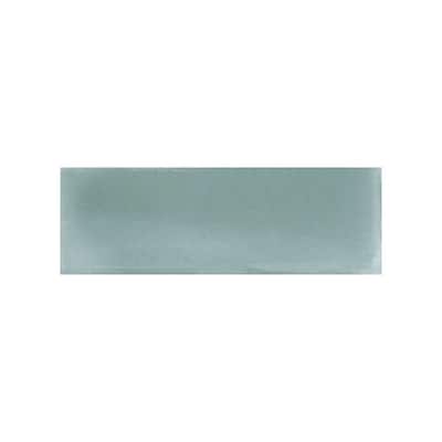 The Tile Life Galileo 2x6 Porcelain Wall Tile