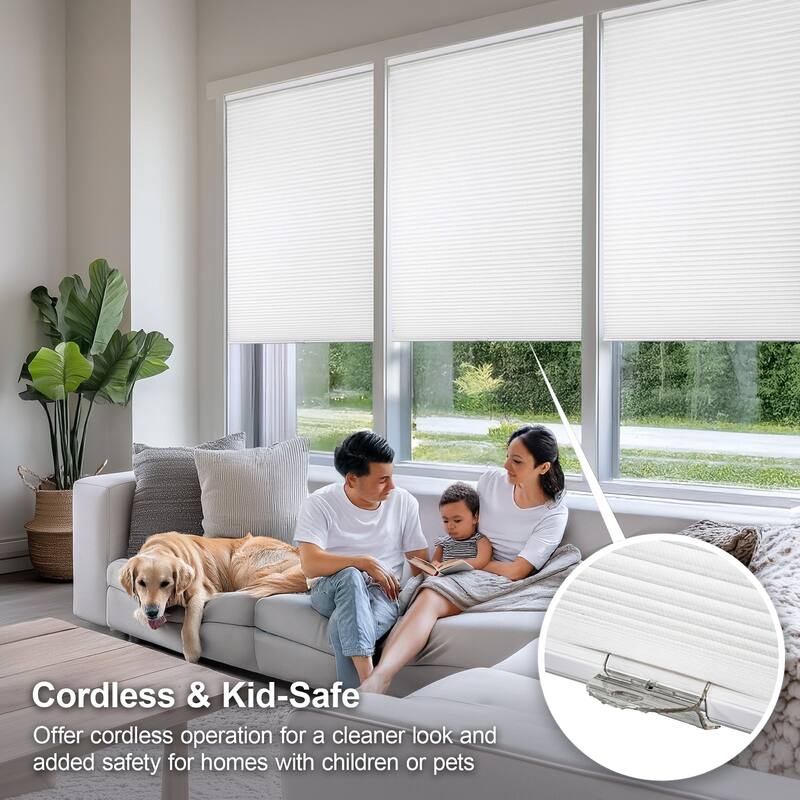CHICOLOGY Cordless Light Filtering Cellular Shades Morning Mist