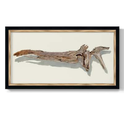 Driftwood Study II Premium Framed Canvas- Ready to Hang