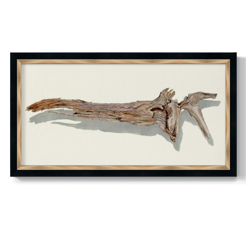 Driftwood Study II Premium Framed Canvas- Ready to Hang