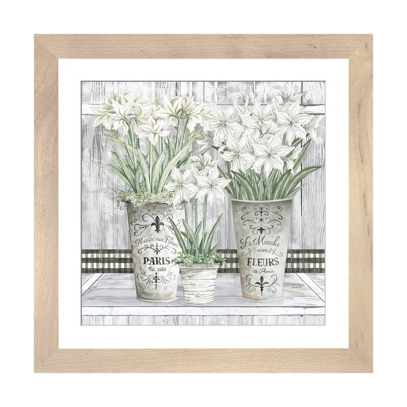 iCanvas "Amaryllis Multi Pots" by Cindy Jacobs - Natural - 24x24x1