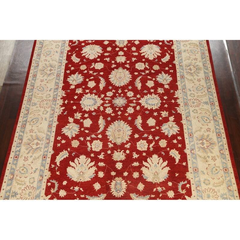 Vegetable Dye Floral Ziegler Oriental Wool Area Rug Handmade Carpet - 10'1" x 13'8"
