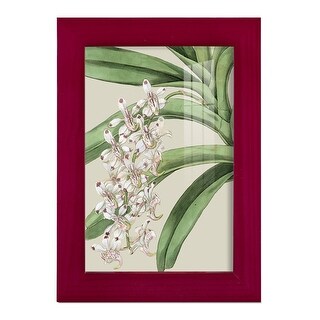 Orchid Blooms I -Framed Print w/glass-Cherry Red