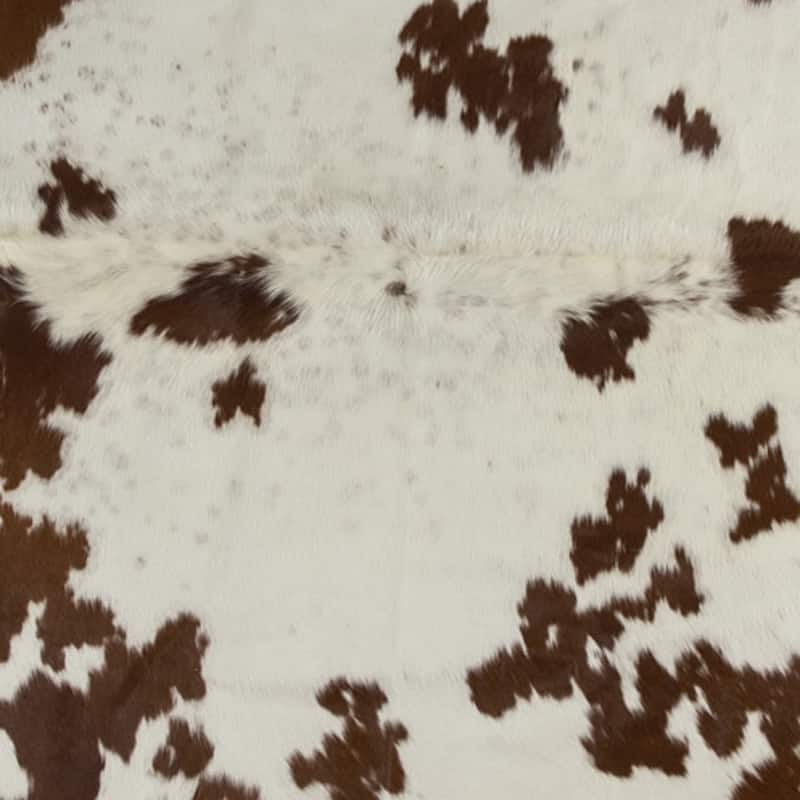 Stain Resistant Area Rug - 84' X '60' X '0.1