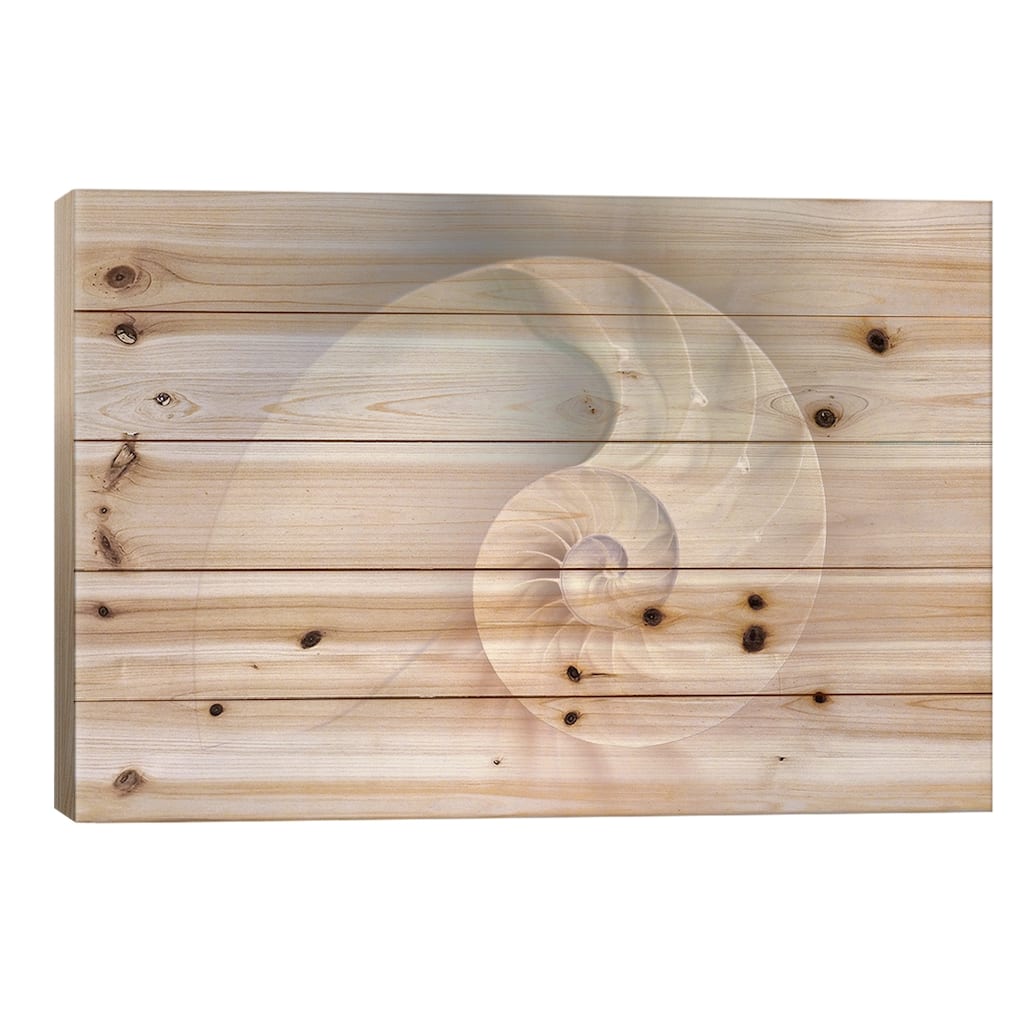 Nautilus Shell Cut Print On Wood by Depositphotos - Multi-Color